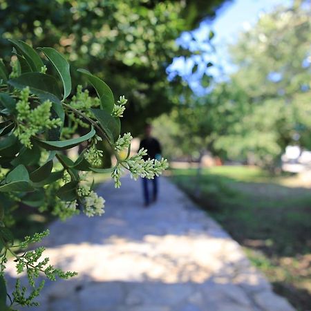 Hotel Ataol Tatil Ciftligi Bozcaada Zewnętrze zdjęcie